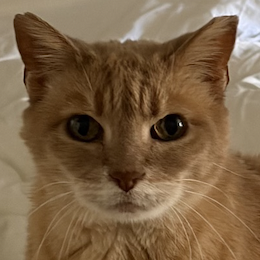 Rusty